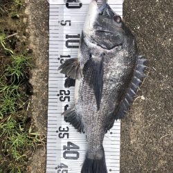 イチノ兄弟、釣果!