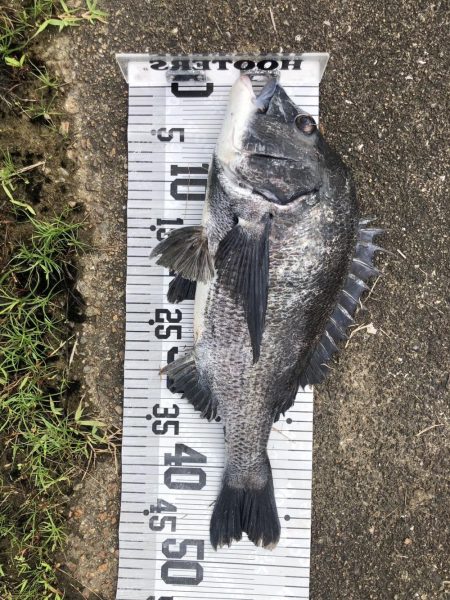 イチノ兄弟、釣果!