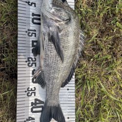 イチノ兄弟、釣果！