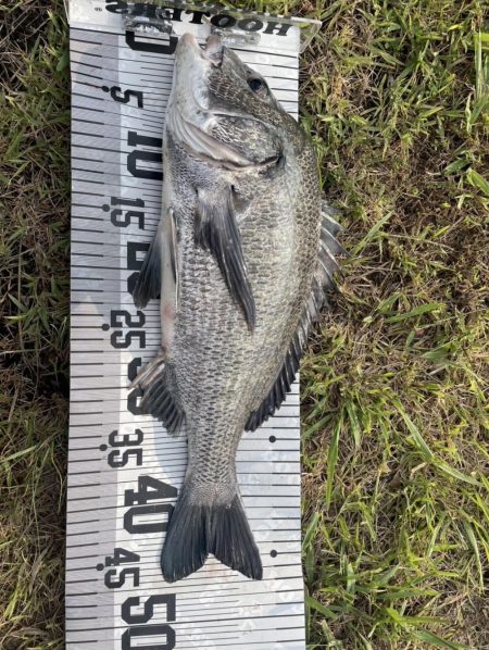 イチノ兄弟、釣果！