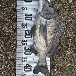 イチノ兄弟、釣果！