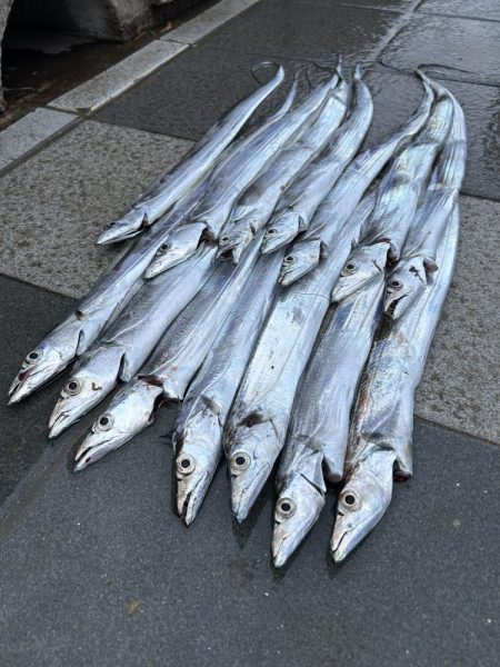 ★★時合いを見極めればタチウオ連発★★