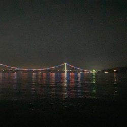 夏の終わりのチヌ釣り