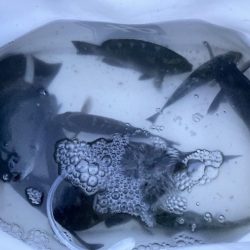 久しぶりの大蔵海岸