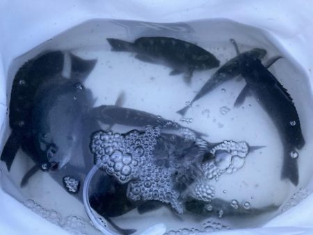 久しぶりの大蔵海岸