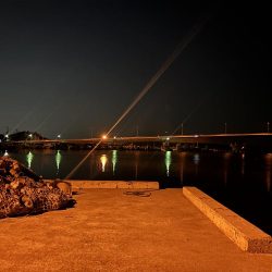 アジングが・・・五目に・