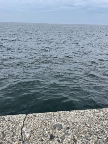 こんなはずでは!