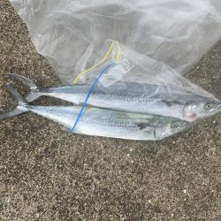 釣れるまで投げれば坊主はない