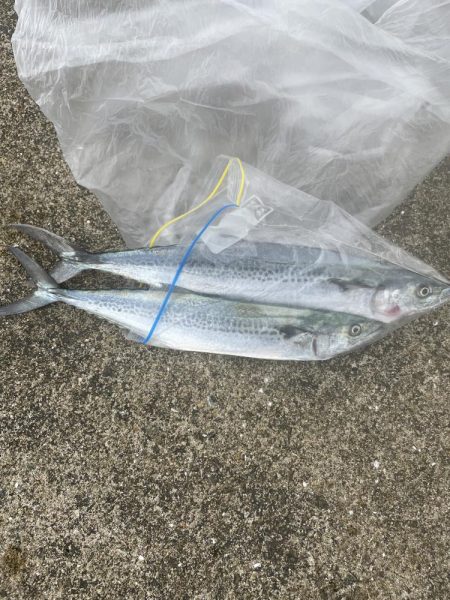 釣れるまで投げれば坊主はない