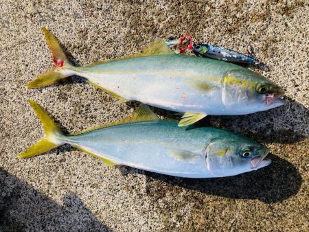 ジグで五目達成