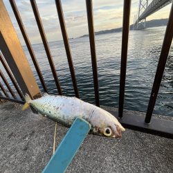 三連休前‥‥魚より人多い