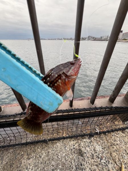 銅付きでサンバ