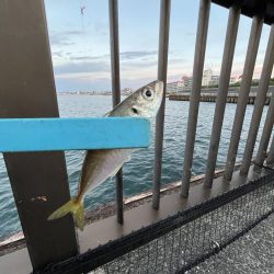 アジしか勝たん2