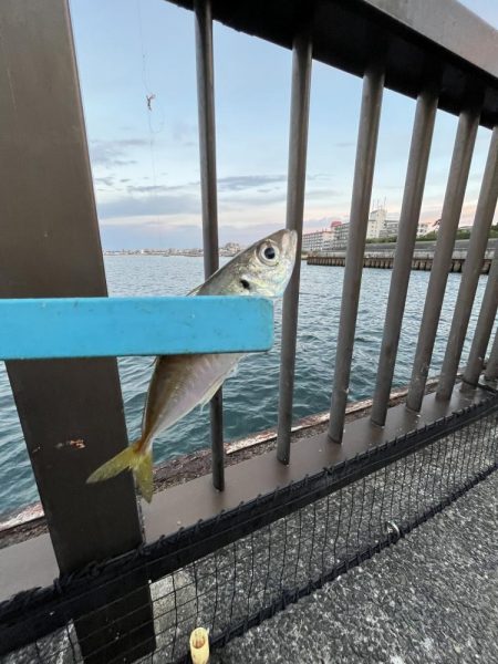 アジしか勝たん2