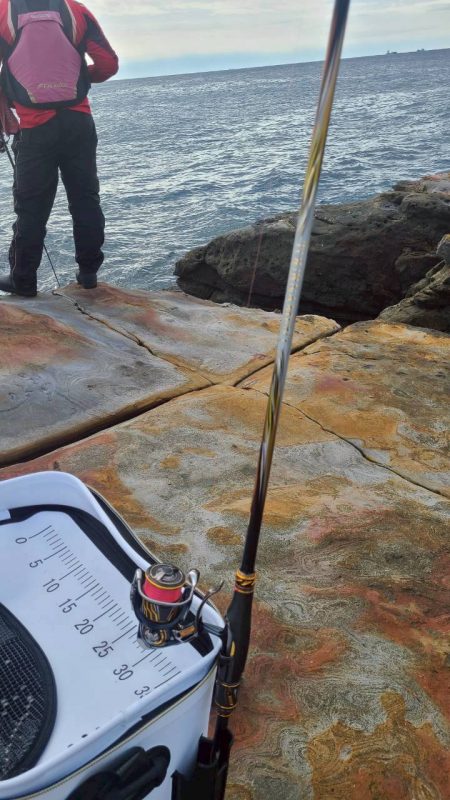和歌山市江（吉丸渡船）でグレ釣り