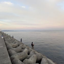 祭りが終わって平和な貝塚人工島でした。