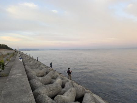 祭りが終わって平和な貝塚人工島でした。