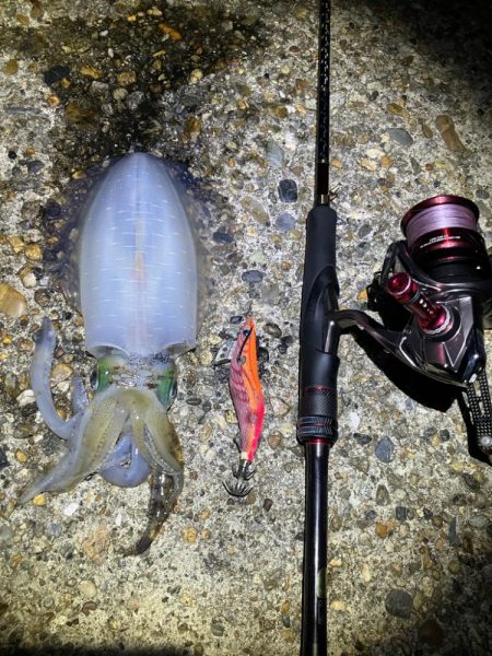 秋🦑連日釣行😊