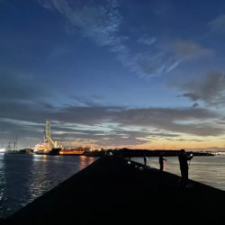 サゴシ釣れてます（確変中）