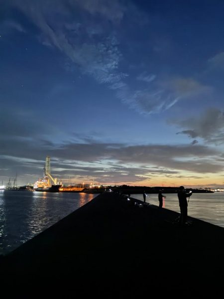 サゴシ釣れてます（確変中）