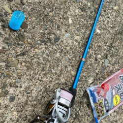 午後からファミリーフィッシングサビキ