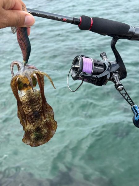 初場所エギング