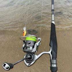 今日はシブい！