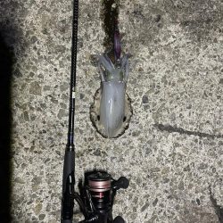 淡路島遠征ー！