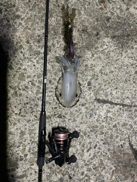 淡路島遠征ー！