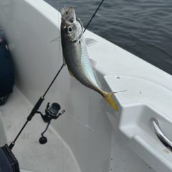 サワラ/ブレードジギング