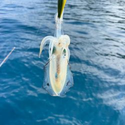 昼すぎから海上散歩