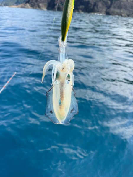 昼すぎから海上散歩