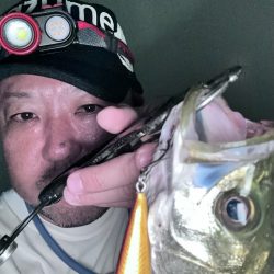 大潮は苦手です…