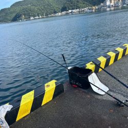 沼津市戸田港フカセ釣り 大型ウスバハギ