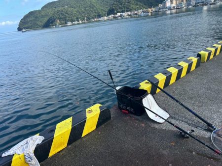 沼津市戸田港フカセ釣り 大型ウスバハギ