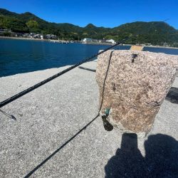 やっぱり小さい………