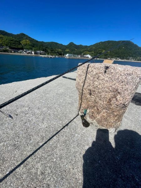 やっぱり小さい………