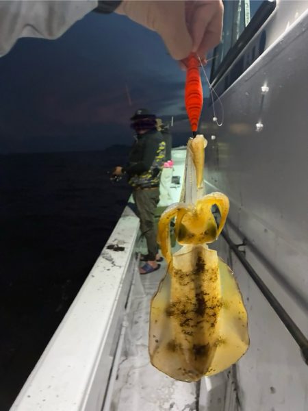 2回目のティップランエギング