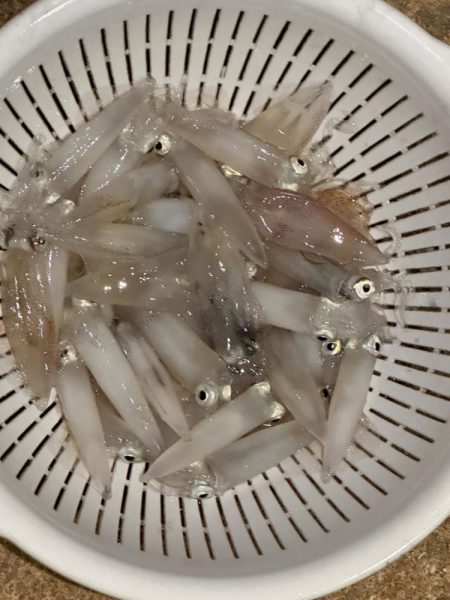 例年になく育ちの良いヒイカ!!