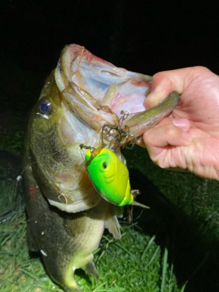 タイニークラッシュでキタ！