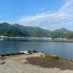 違う場所でエギング