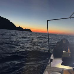 ちょいップラン