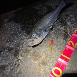 久しぶりにお会いできました