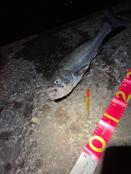 久しぶりにお会いできました