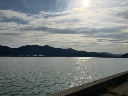 サヨリいっぱい