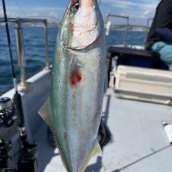 何でもスタイル