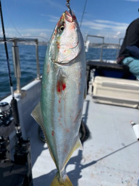 何でもスタイル