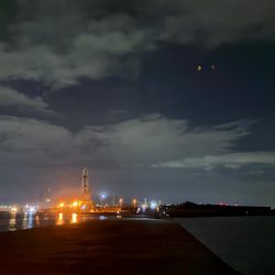 シーバス青物狙ってもチヌ!