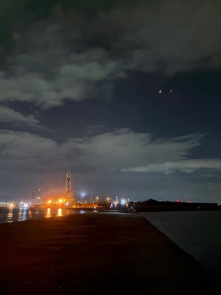 シーバス青物狙ってもチヌ!