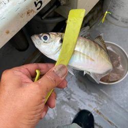 アジサビキいいね！